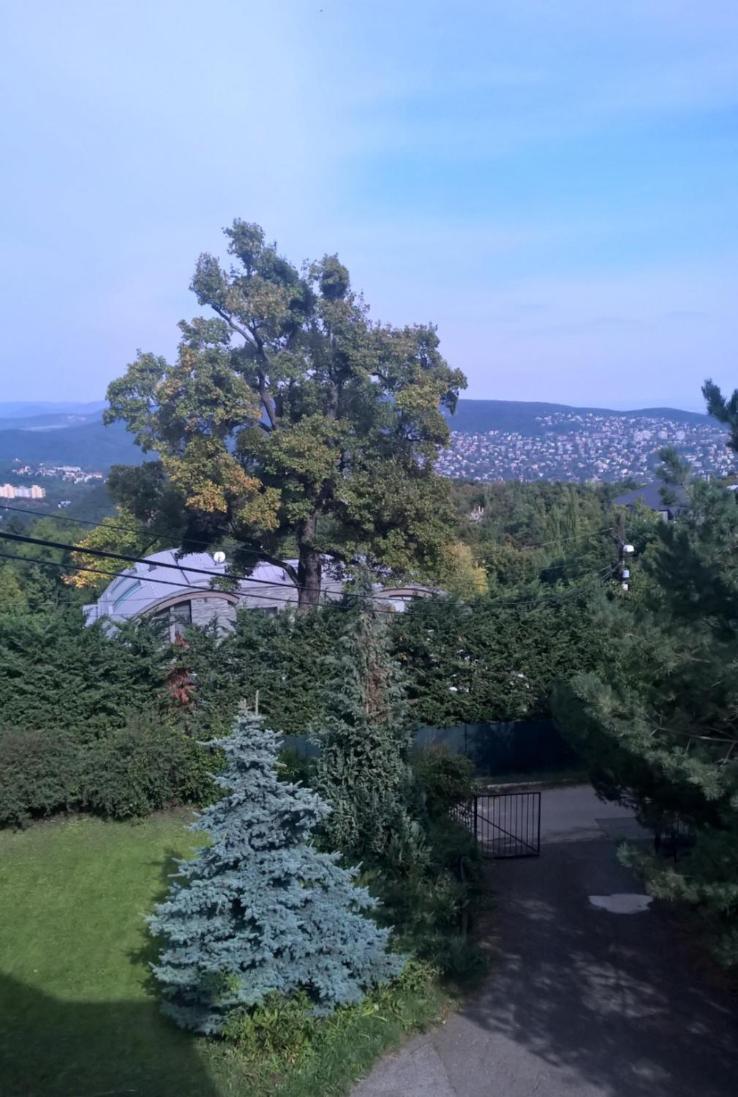 Apartamento Romantic Two Bedroom In The Hills Of With Private Parking Budapest